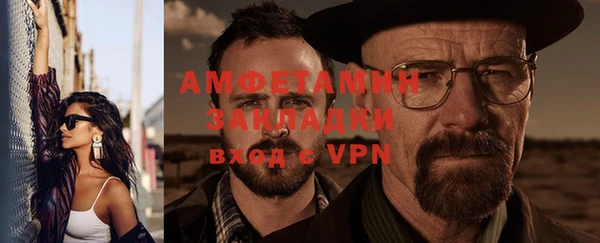 прущие грибы Кулебаки