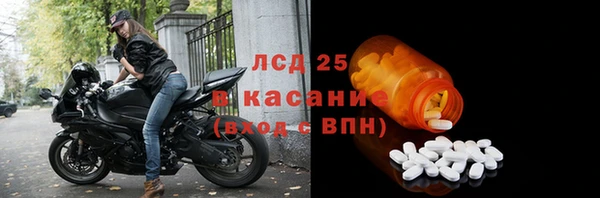 прущие грибы Кулебаки
