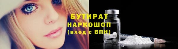 стаф Ельня