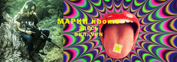 амф Кукмор