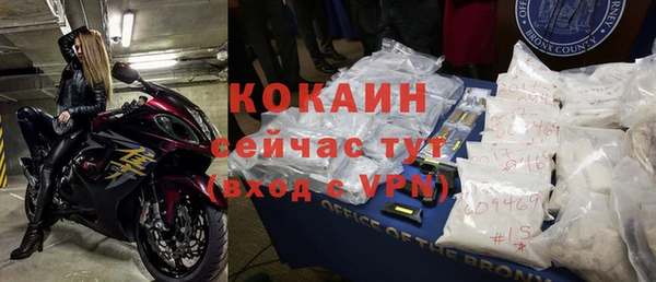 прущие грибы Кулебаки
