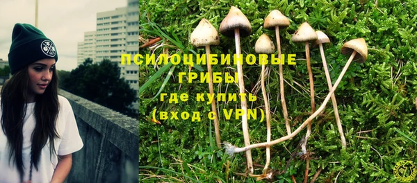 амф Кукмор