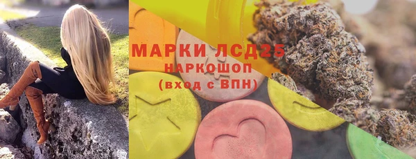 прущие грибы Кулебаки