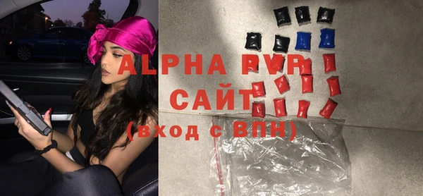 стаф Ельня