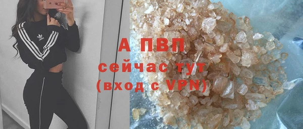 амф Кукмор