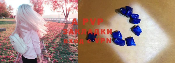 амф Кукмор