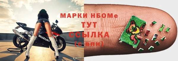 прущие грибы Кулебаки