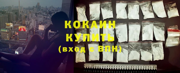 прущие грибы Кулебаки