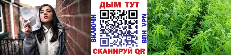 OMG как войти  Завитинск  Конопля семена 